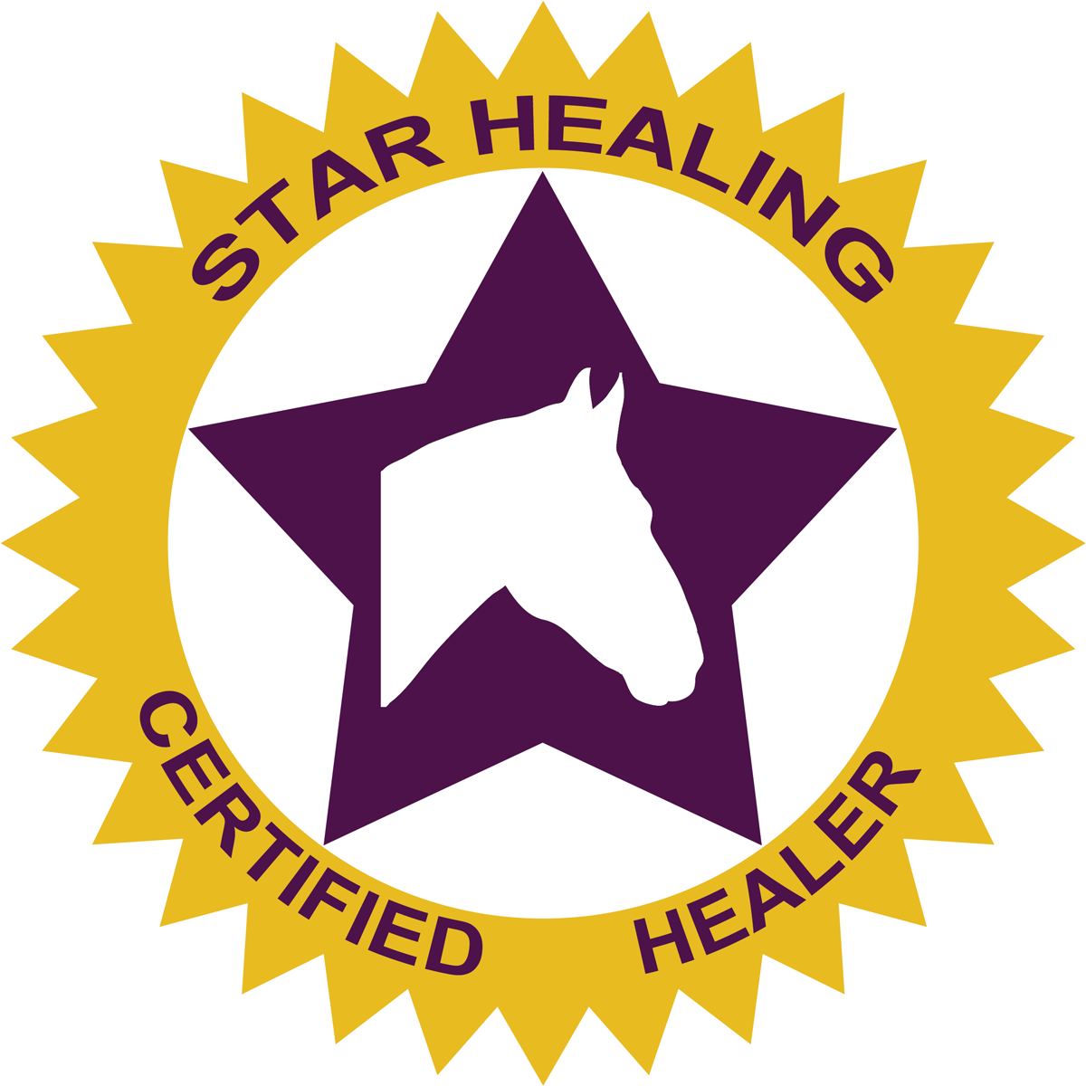 Star Healing Energy Certification - Equine