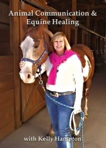 Animal communication and equine healing