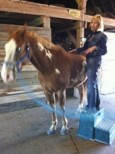 Helly Hampton - Star Healing for Horses